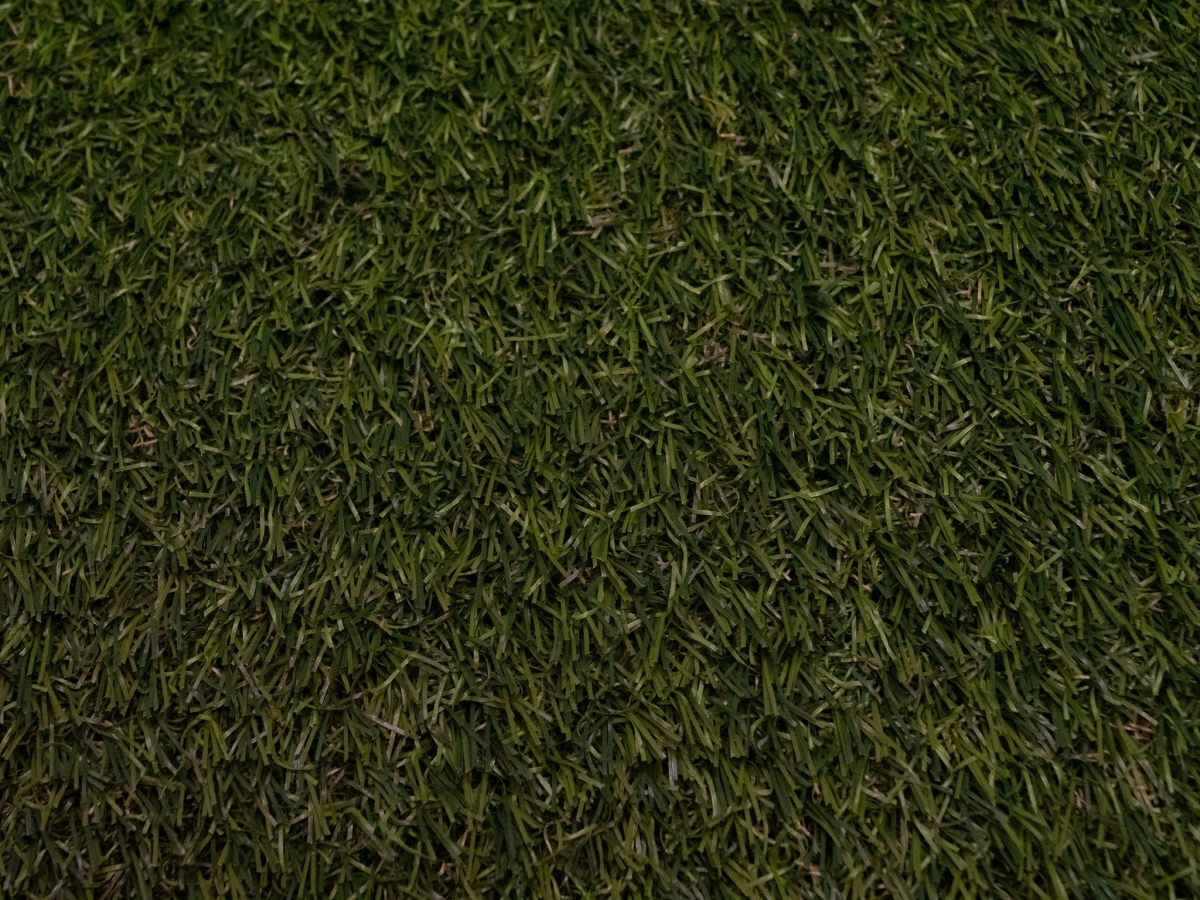 product-image-64
